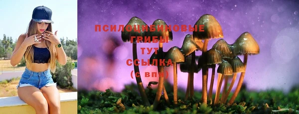 винт Богородицк