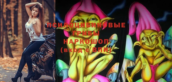 винт Богородицк
