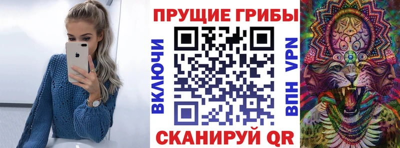 дарнет шоп  Мглин  Галлюциногенные грибы GOLDEN TEACHER 